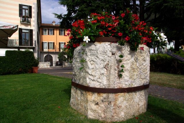 SALO > Trog für die Aufzucht von Blutegeln