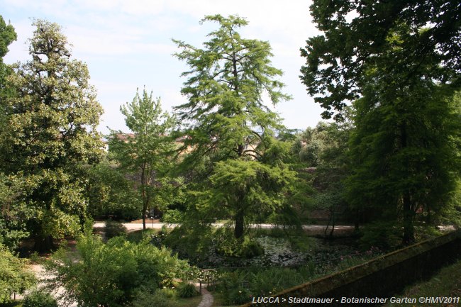 LUCCA > Stadtmauer > Botanischer Garten