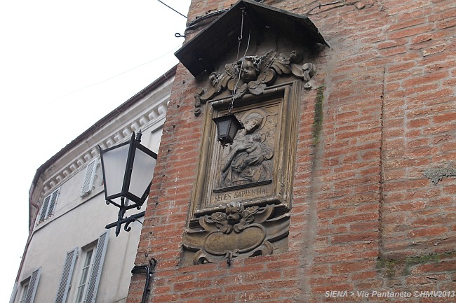 SIENA > Via Pantaneto > Impression
