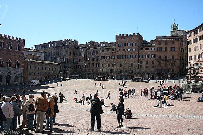 SIENA > Il Campo
