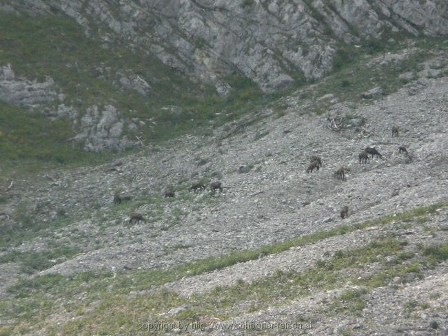 Radltour zur Feilalm oberhalb des Achensees