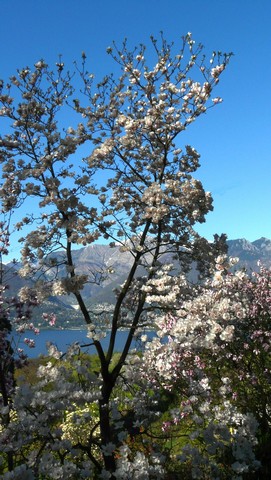 Tessin, eine Reise in den Sommer , Teil 2 Vielfalt und Schönheit, Verzascatal 5