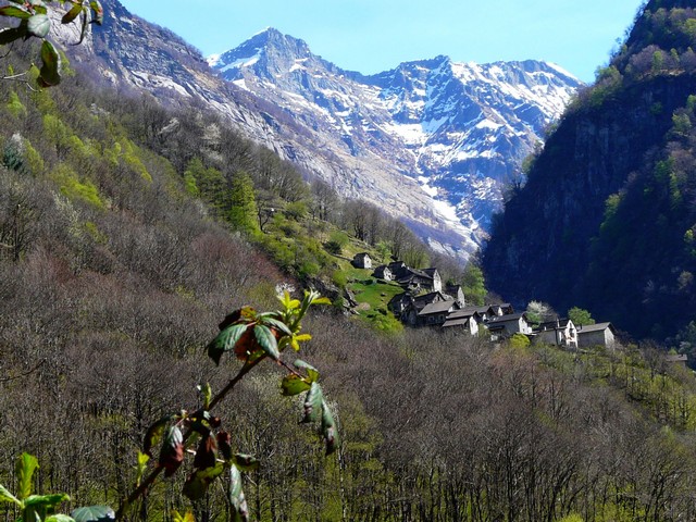 Tessin, eine Reise in den Sommer , Teil 2 Vielfalt und Schönheit, Verzascatal 3