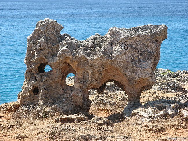CALA MORLANDA > Südspitze > Park