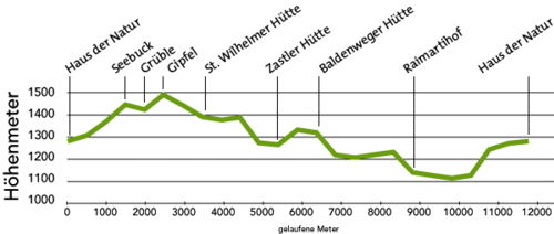 FELDBERG >  a 0 Höhenprofil