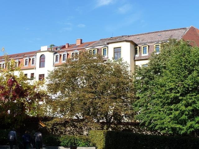 k-P1060198