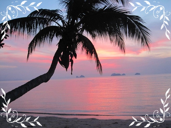 Am Lamaistrand des nachts