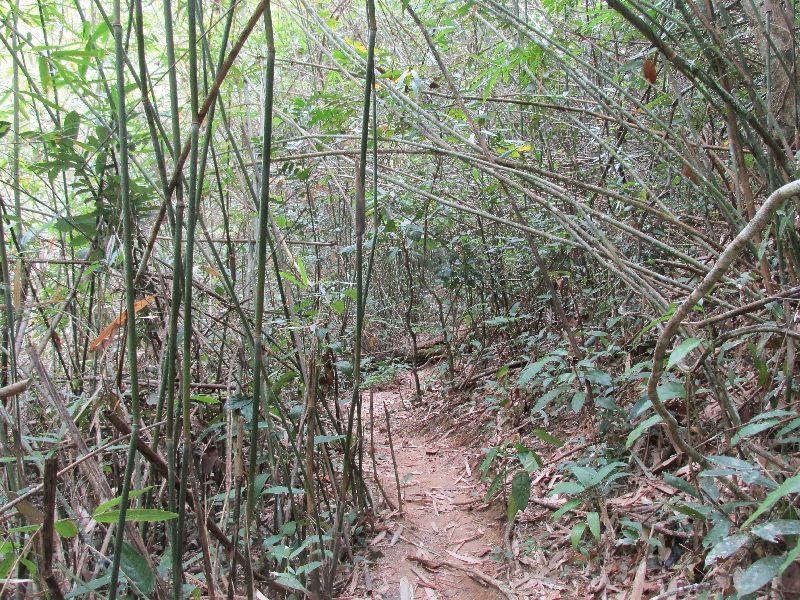Wasserfall Klong Jao Leuam (17)