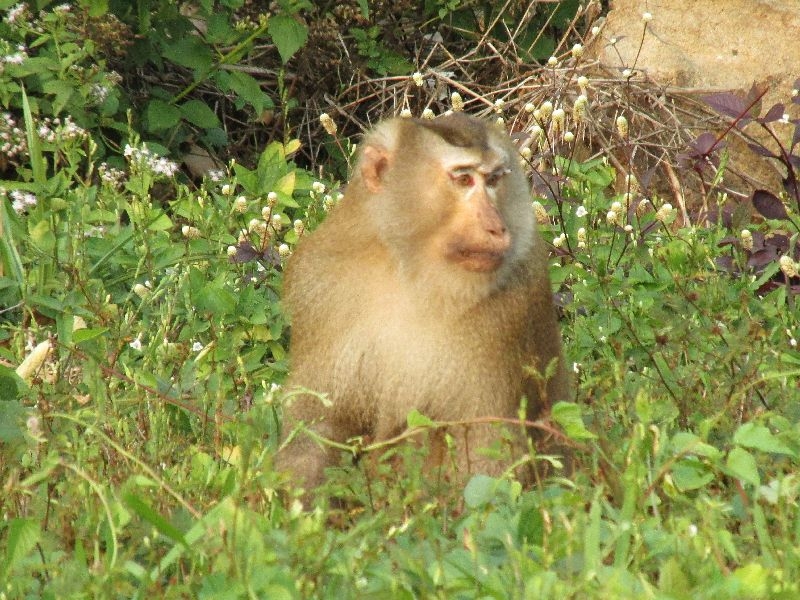 White Sand Beach (5)