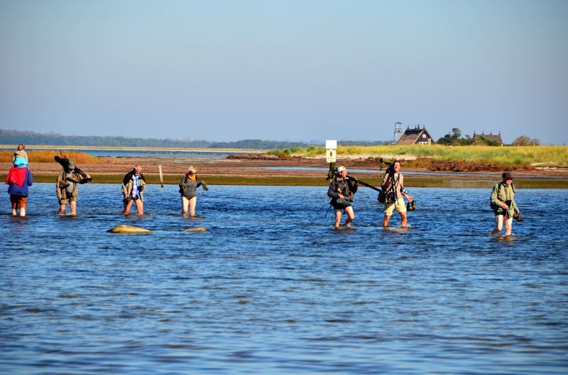 Insel Poel 2014 DSC_8040