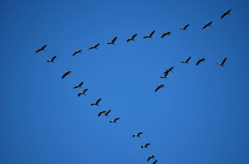 Insel Poel 2014 DSC_8044