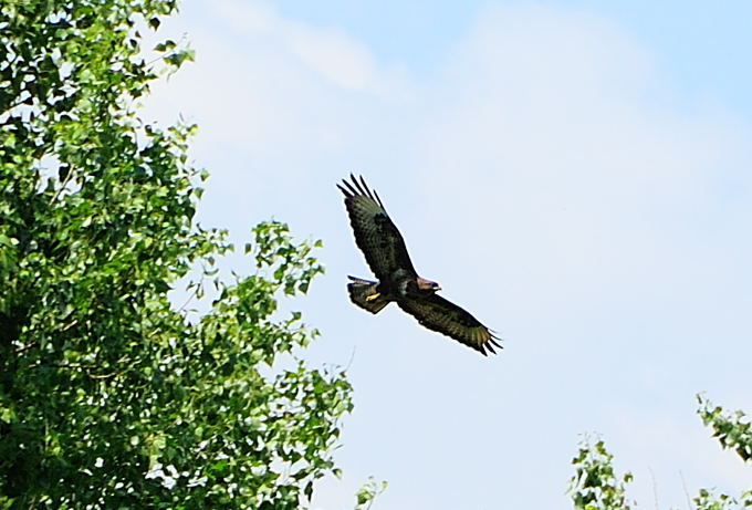 Naturpark Lonjsko Polje 04 7
