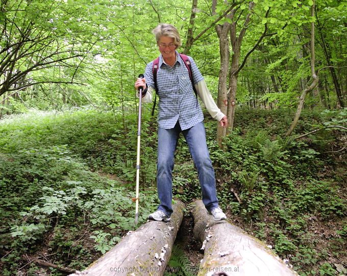 Slawonientour 2010 198