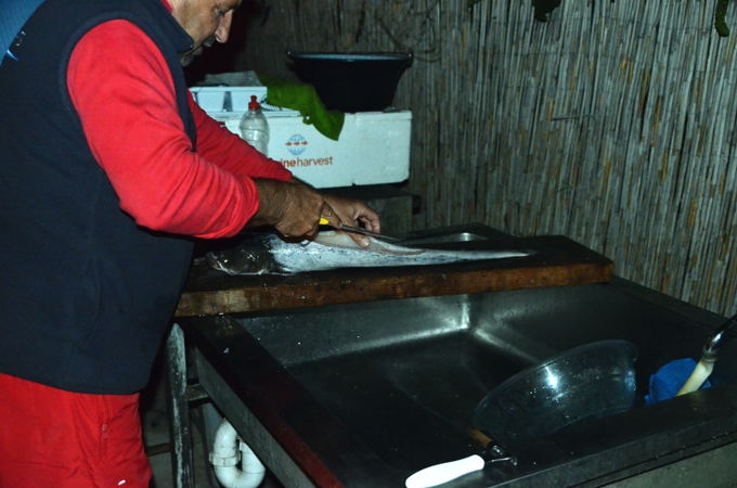 Naturpark Kopački rit 2013 06 DSC_4861