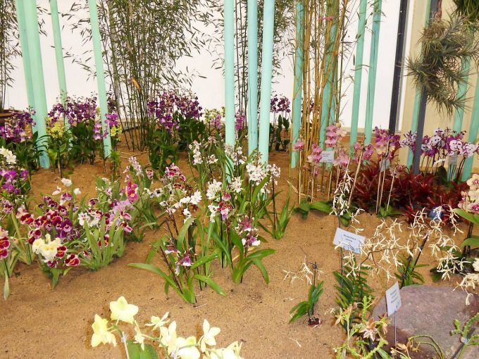 waldis BUGA>1.Tag>Blume020
