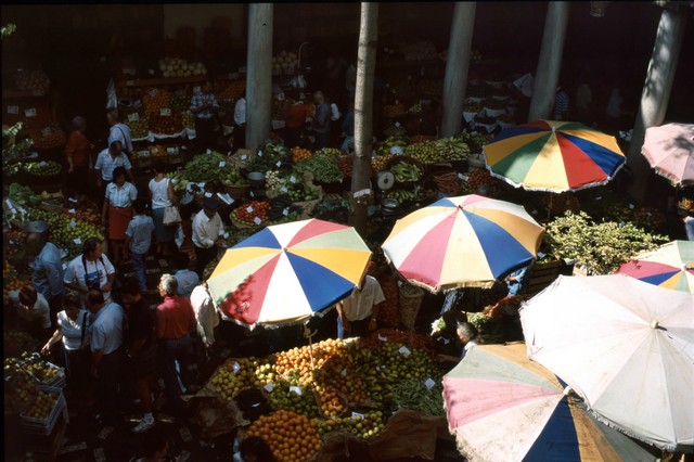 Madeira , die Vulkan- aber auch Frühlingsinsel, Teil 3 6