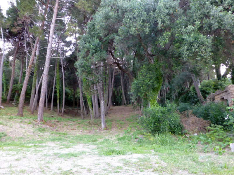 GR:Korfu>Kaiserbridge>Blick in den Garten vom Achilleion