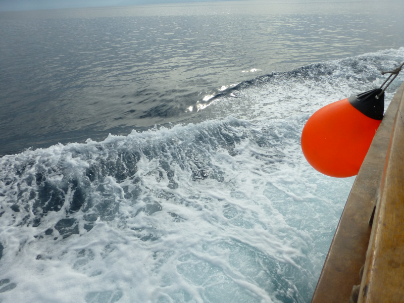 GR:Korfu>Lagune>Bugwelle