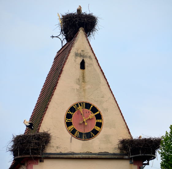 Storchendorf Holzen