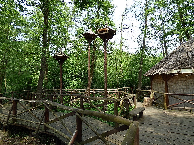 Velem > Milleniumspark > Tiergarten