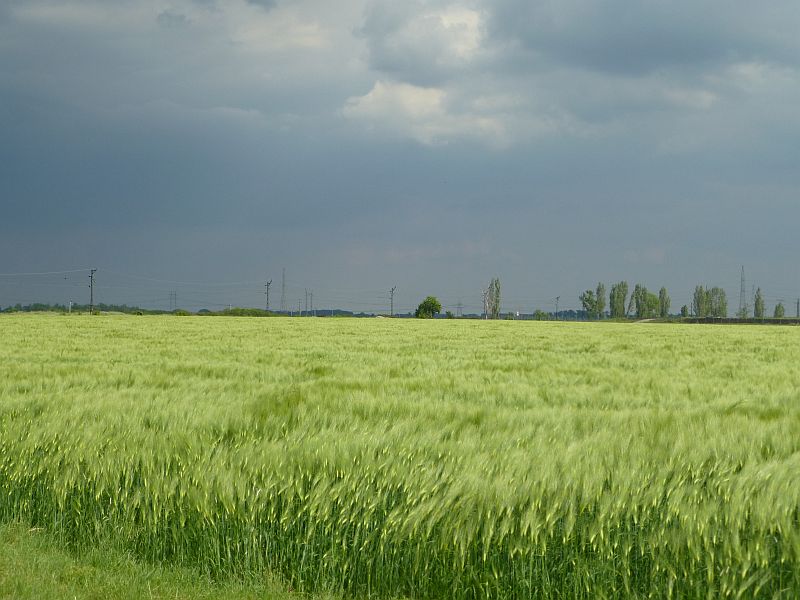 H:Maklár>Unwetter im Anzug