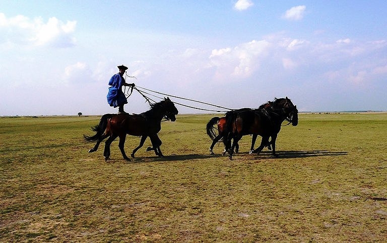 Hortobágy > Puszta