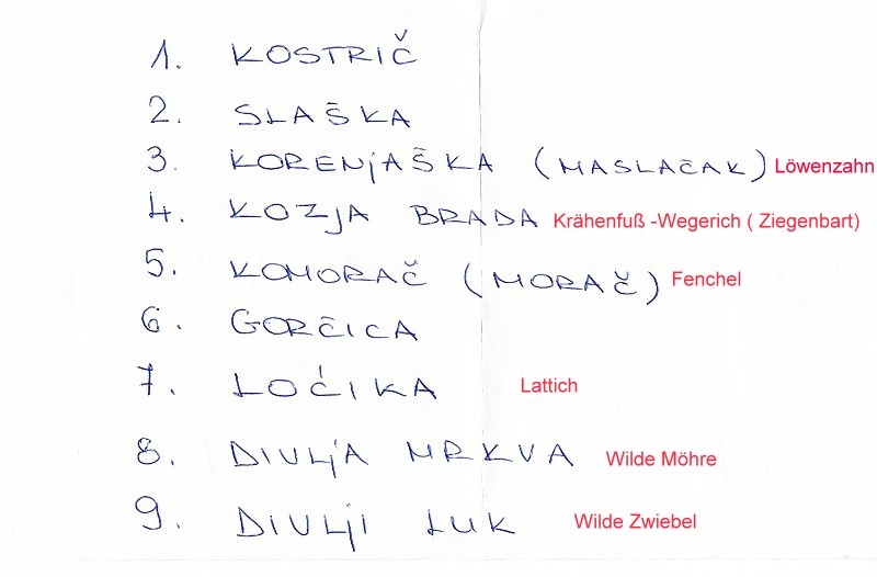 08 Gemüse Liste 2  001