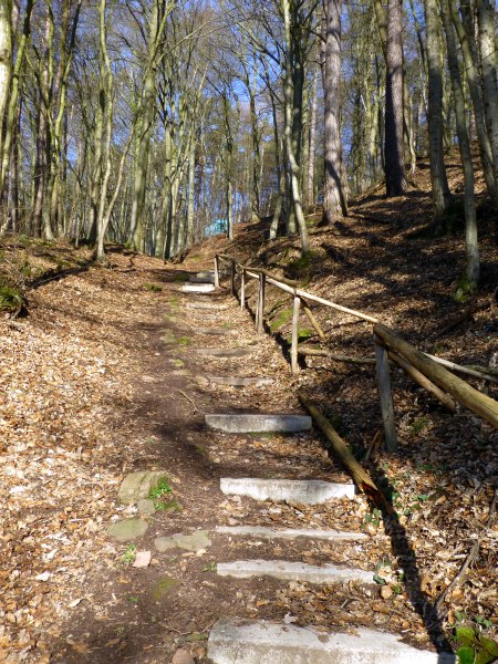 D:Bayern>Burgruine Wildenstein>Treppe