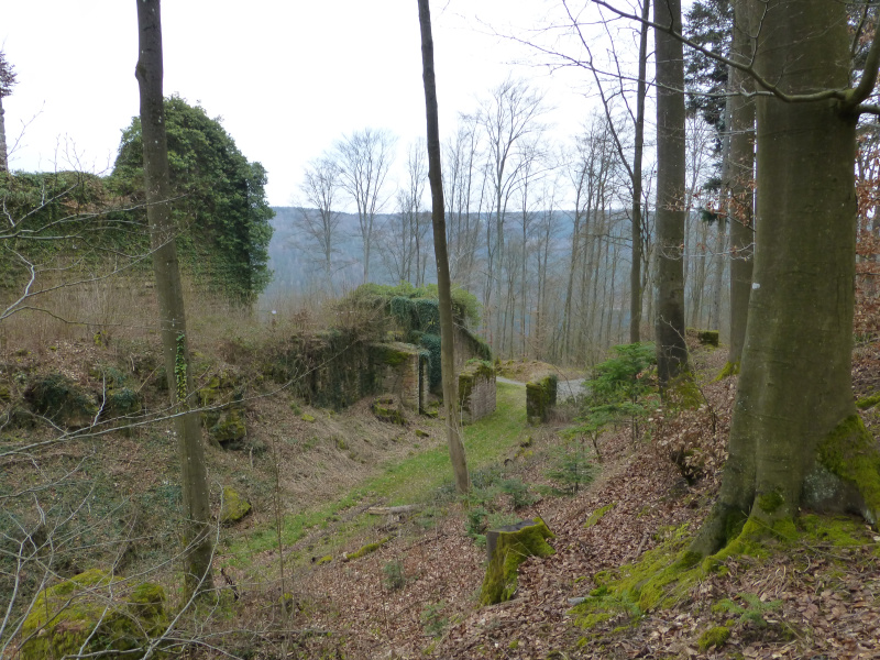 D:Bayern>Wildenburg>innerer Halsgraben1
