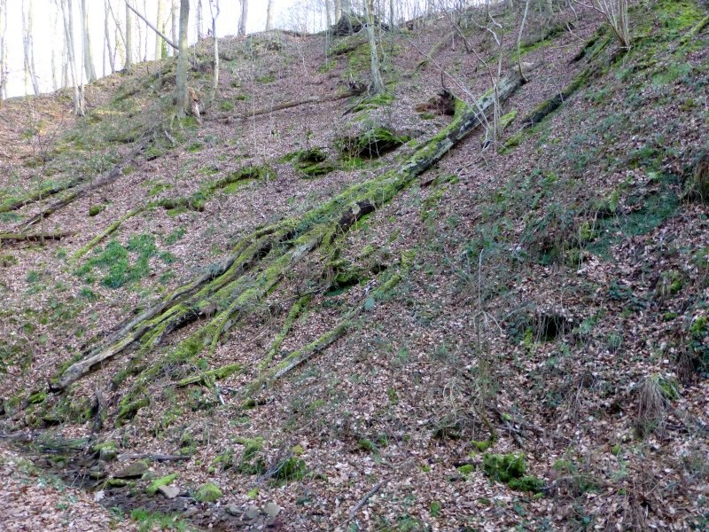 D:Bayern>Klingenberg>Seltenbachschlucht15