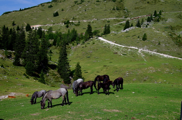 Wanderung auf der Villacher Hochalpenstrasse 6