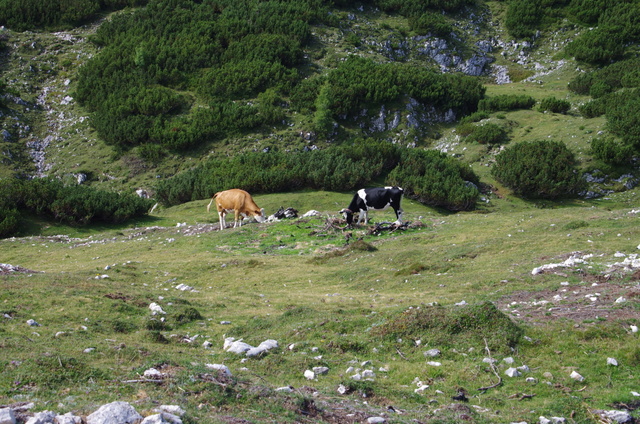 Wanderung auf der Villacher Hochalpenstrasse 5