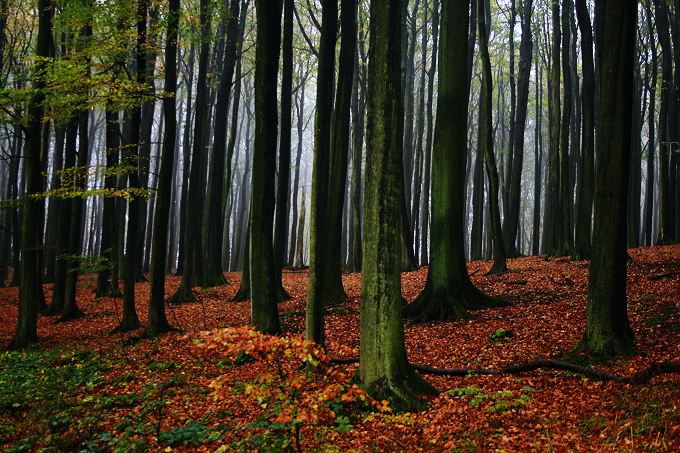Nationalpark Jasmund 3