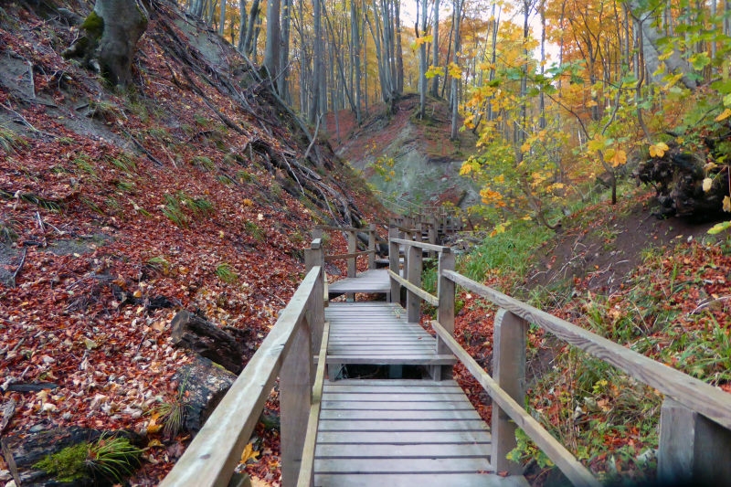 29b 8 Jasmund von Sassnitz Kieler Bach 083