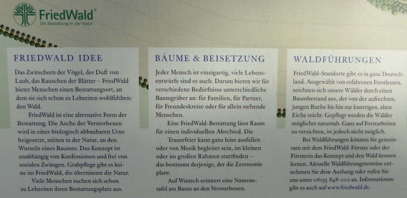 8 Schlosspark Pansevitz (61)