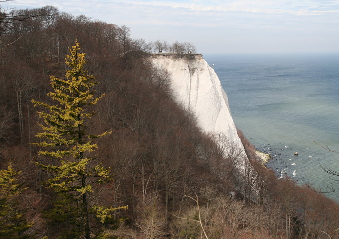 Kreideküste 4