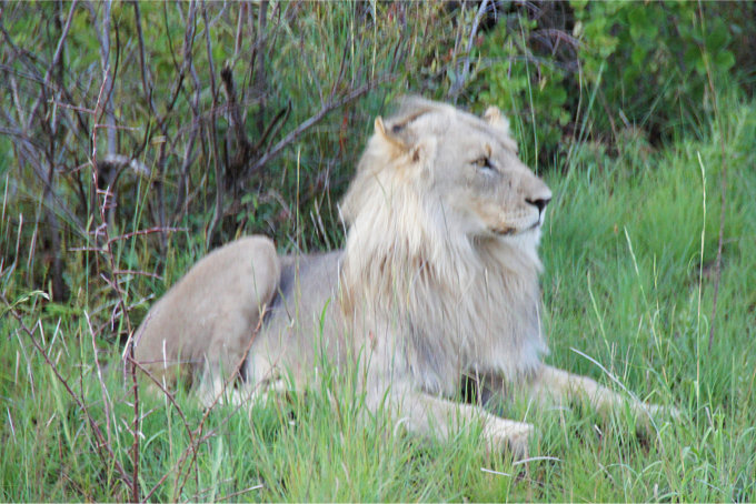 Pilanesberg-39