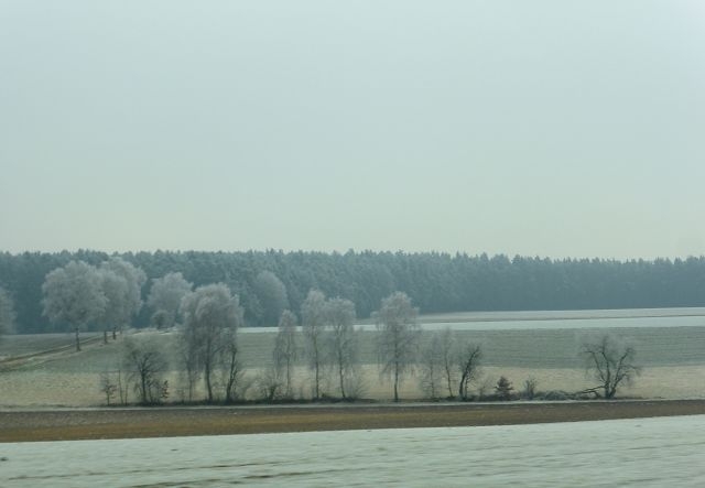 k-P1050493