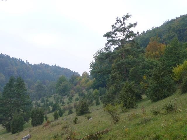 k-P1070069
