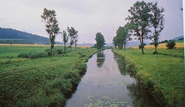 k-Richtung Dietfurt, Juli 87