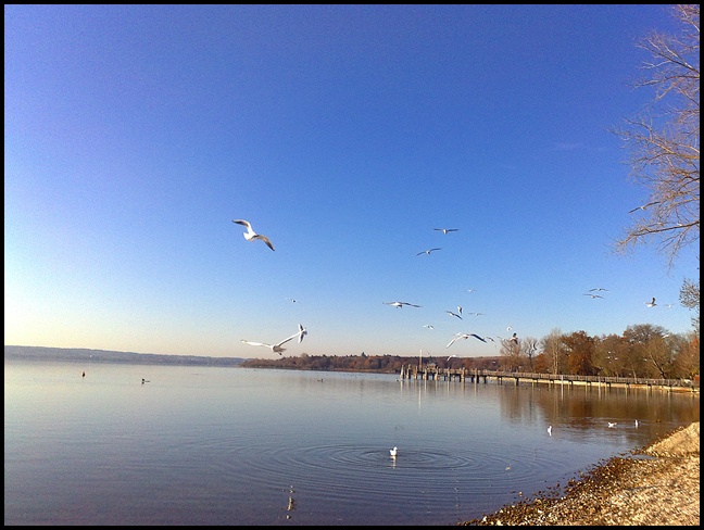 Ausflug zum Ammersee 3