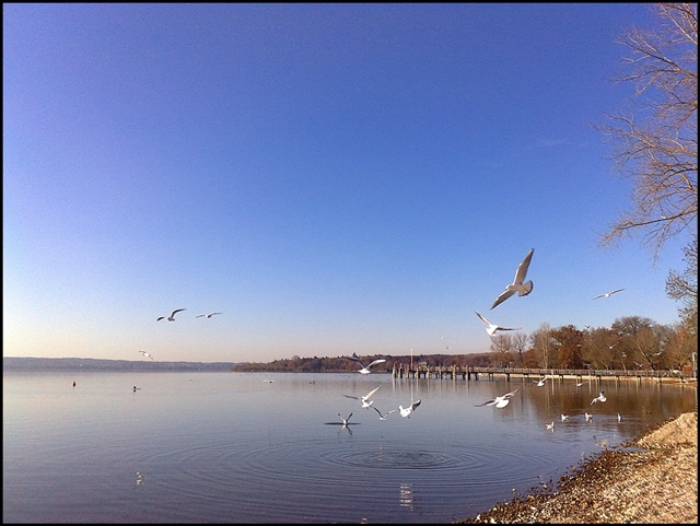 Ausflug zum Ammersee 4