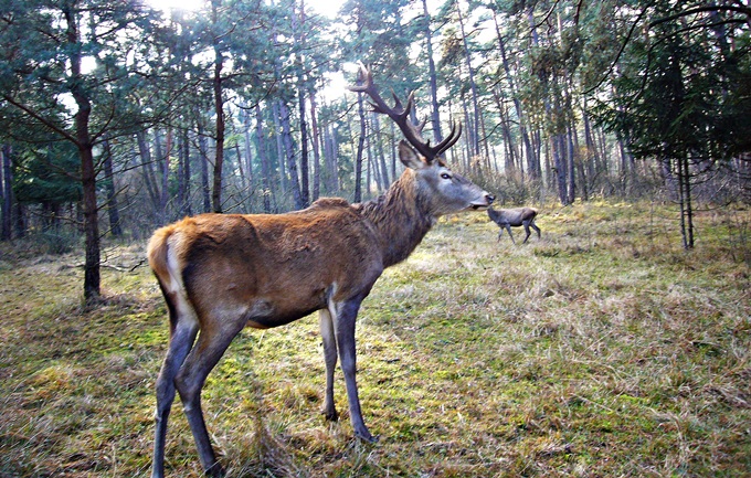 Königsbrunn 2