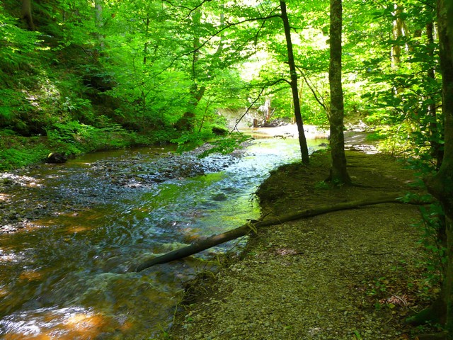 Zwischen Starnberg und Andechs, Radlausflug 2