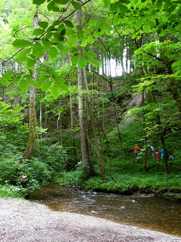 Zwischen Starnberg und Andechs, Radlausflug 3