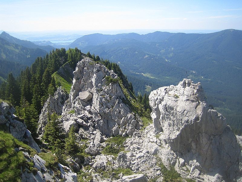 Hennenkopf2 044