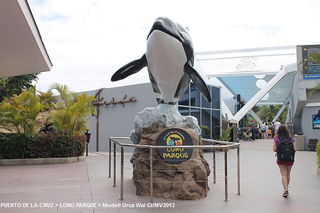 LORO PARQUE 2013 > 30_Orca Wal