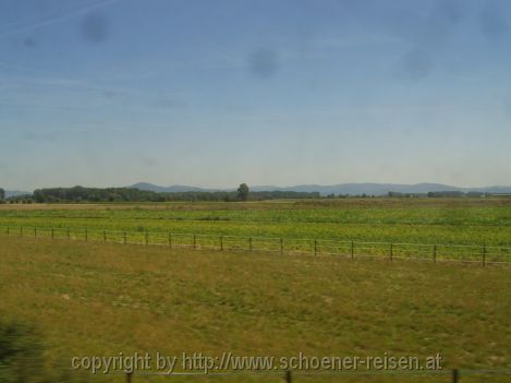 Maria's Eindruck aus dem BaWü-Hessischen Grenzgebiet