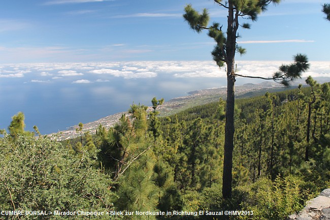MIRADOR DE CHIPEQUE > Blick auf die Nordküste in Richtung El Sauzal