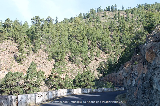 TF-21 zwischen Granadilla de Abona und Vilaflor > Ausblick